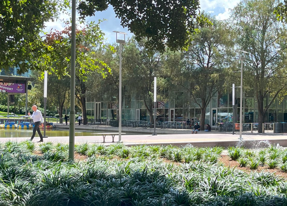 picture of man walking in park