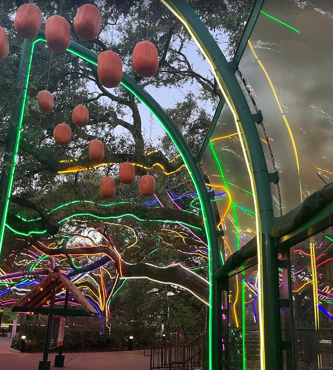 pumpkins hanging in lit trees