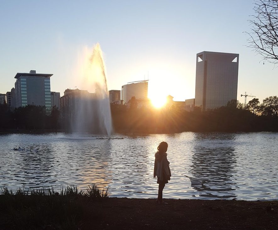 view of TMC from Hermann Park